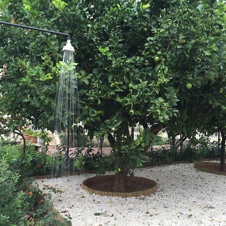 Best Location In Vrachati Ngoại thất bức ảnh